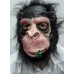 Ağzında Çiçek Maymun Maske